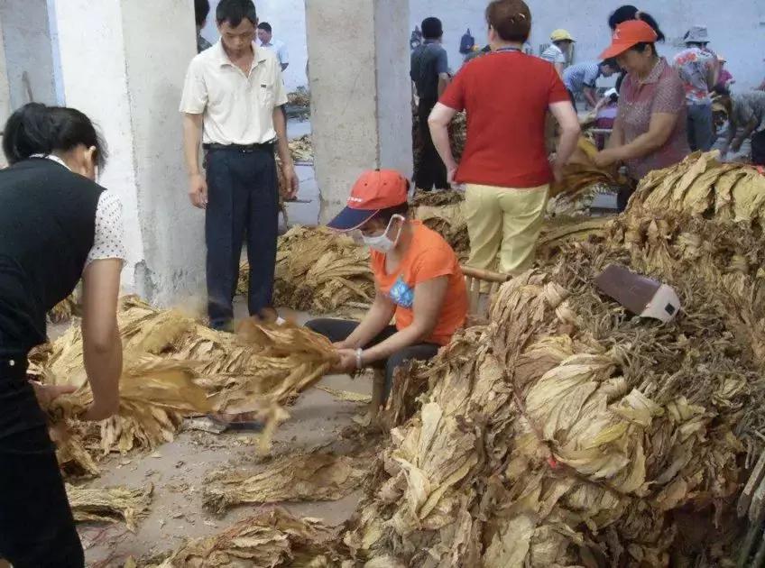 中华烟哭了！小村造20年假烟，拥上百亿美国市场，连正品都来抄袭