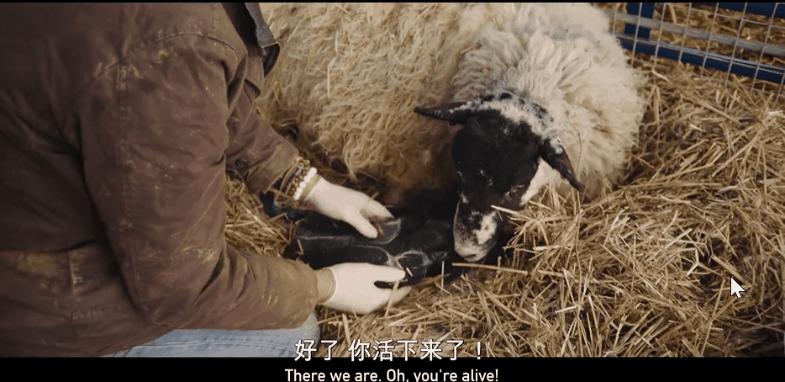 豆瓣9.6，这个“英国版李子柒”承包了我本月的笑点