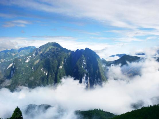 重庆贵州避暑旅游景点,离重庆最近的贵州避暑胜地