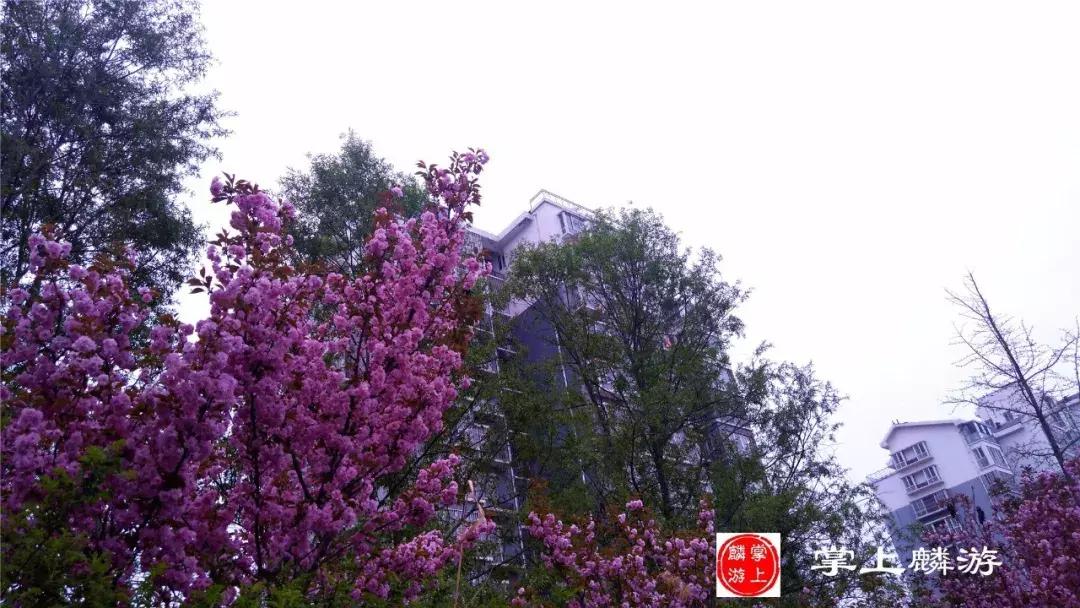 麟游旅游攻略一日游,宝鸡五一游攻略