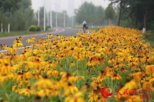 天津附近一天避暑好去处,天津夏季旅游避暑好去处
