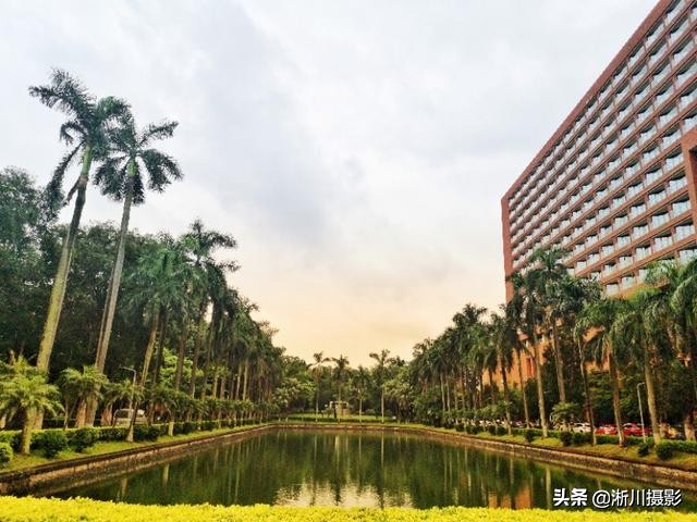 中国最美丽的校园照片,中国最美丽的校园中山大学南校区