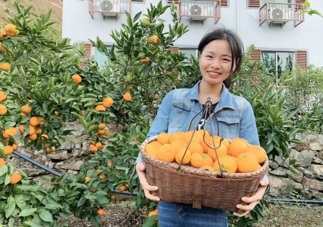 “blingbling”,黄得可爱的橘子可以从8月摘到来年2月!淳安中联村:临湖民宿处女地,甜甜蜜蜜看湖景