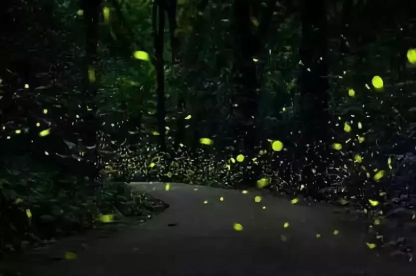 来杭州不知道做什么,来杭州不去哪里遗憾