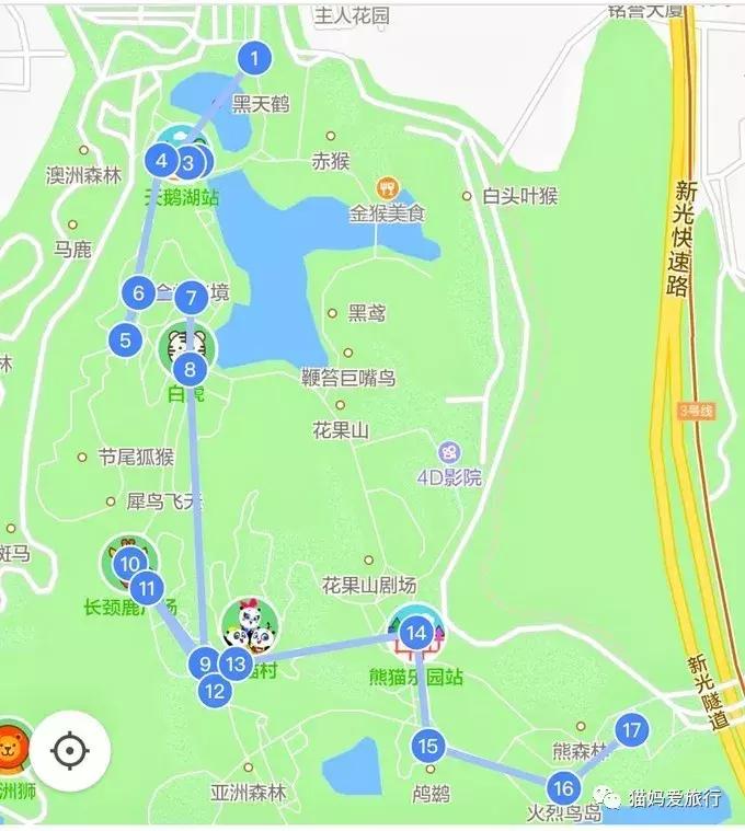 广州长隆野生动物园全程步行攻略,2天游玩广州长隆野生动物园攻略