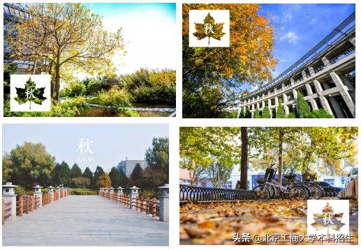 北京大学高颜值学霸,中国十大景色最美的大学