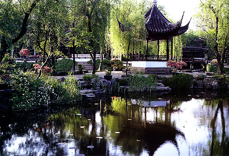 拙政园天下园林之母,苏州园林拙政园攻略