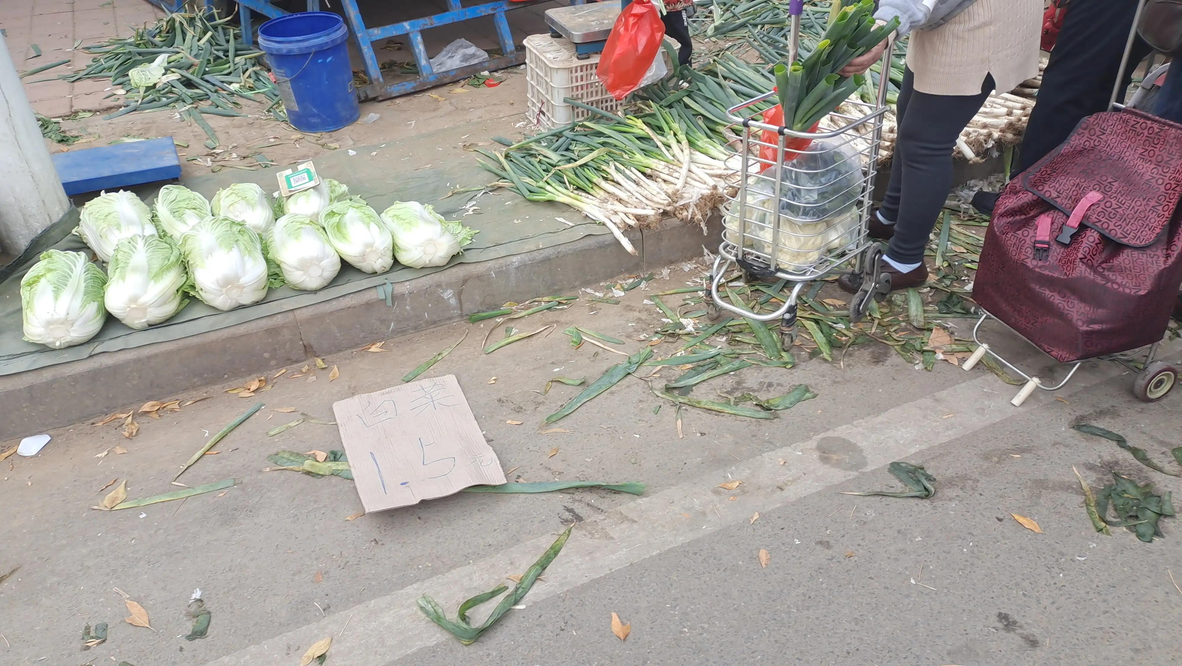 青岛城阳每日菜价查询官网,城阳惜福镇青松生态园菜价
