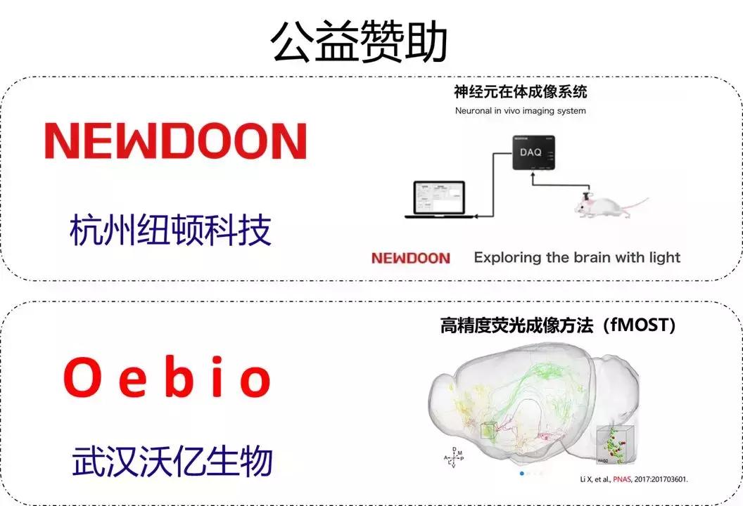 阿尔茨海默论文,检测阿尔茨海默症最新研究