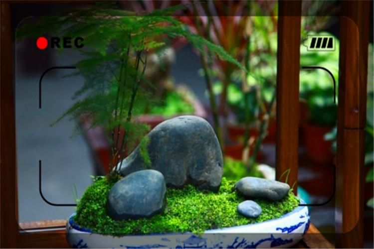 50到60岁创业项目推荐,农村创业50个项目有哪些