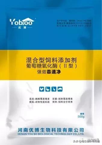 「猪病防治」新玉米来了，养殖不脱霉，最后都是赔