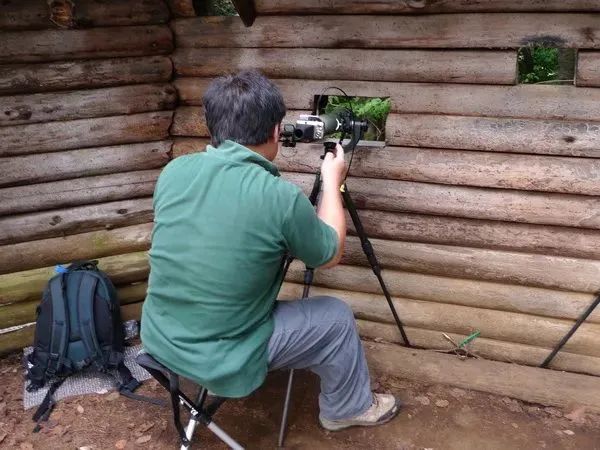 野外拍鸟用什么器材,拍鸟器材最佳配置