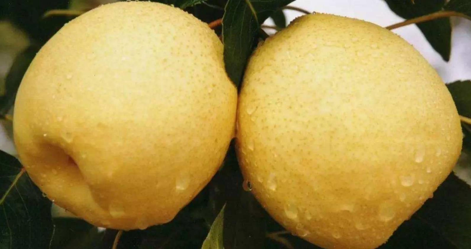 一到四月份都有什么水果,4月份能买到的水果有哪些