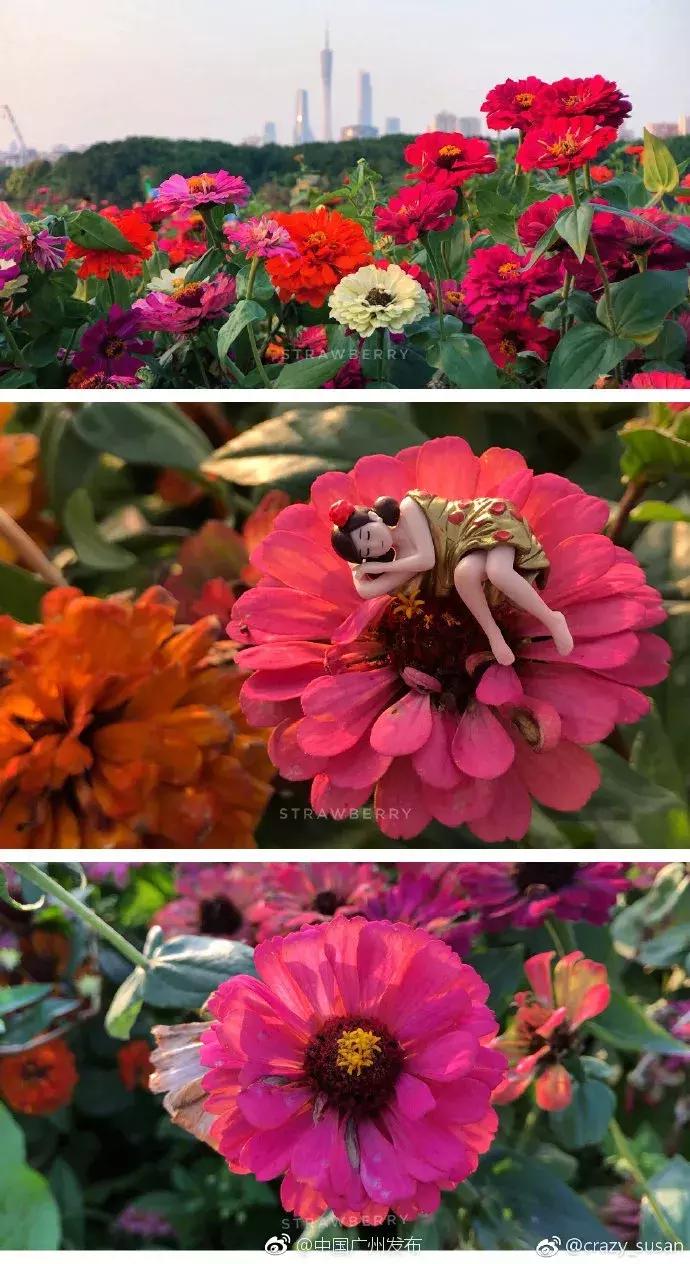 地铁直达!广州15个最适合春游的打卡点,春暖花开超好玩!