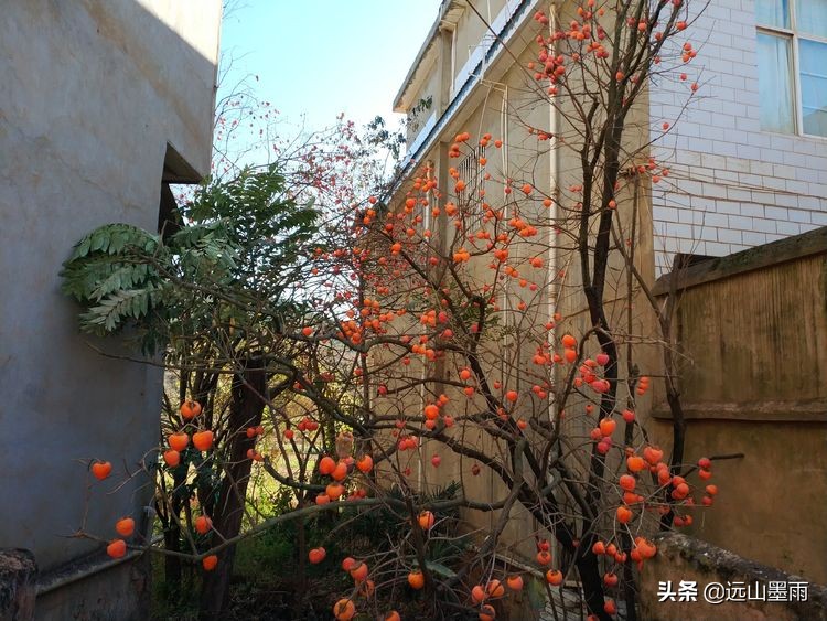 冬日阳光明媚，随走昆明松茂水库周边，遇见小村庄里的老式手工活