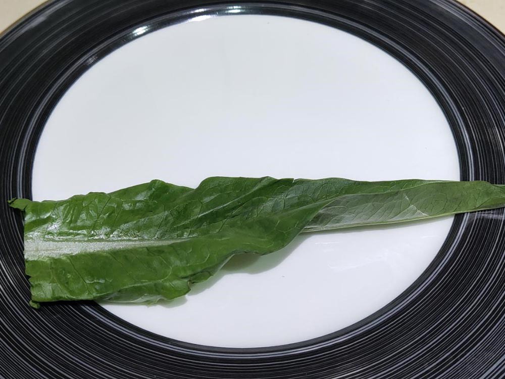 美的冰箱545升星河紫,美的冰箱545星河紫