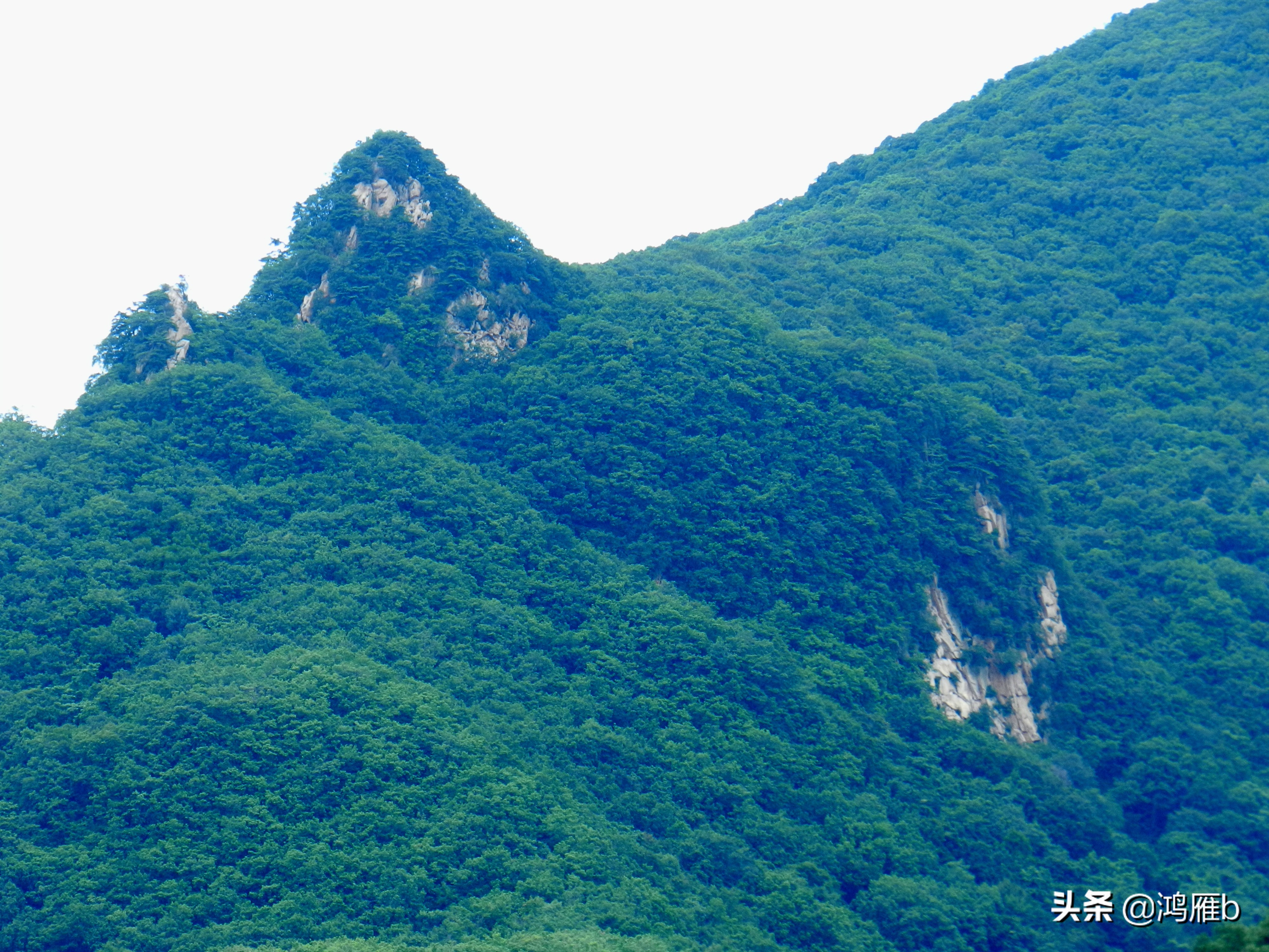 大山里的野果熟了想吃,山里的野果逐渐熟了