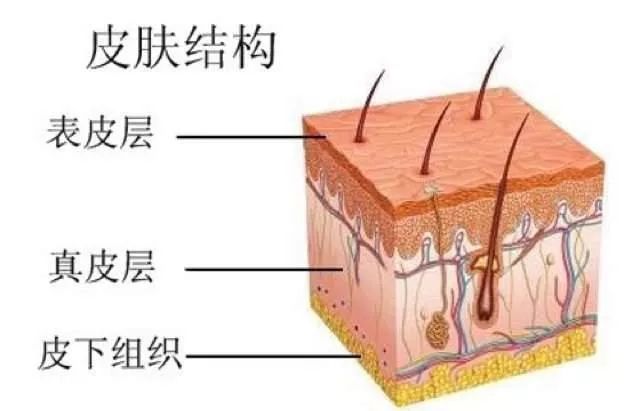 你不知道的护肤小常识赶紧get起来,护肤知识分享热门