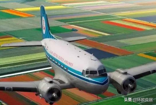 错过郁金香的阿姆斯特丹,荷兰赏花景点推荐