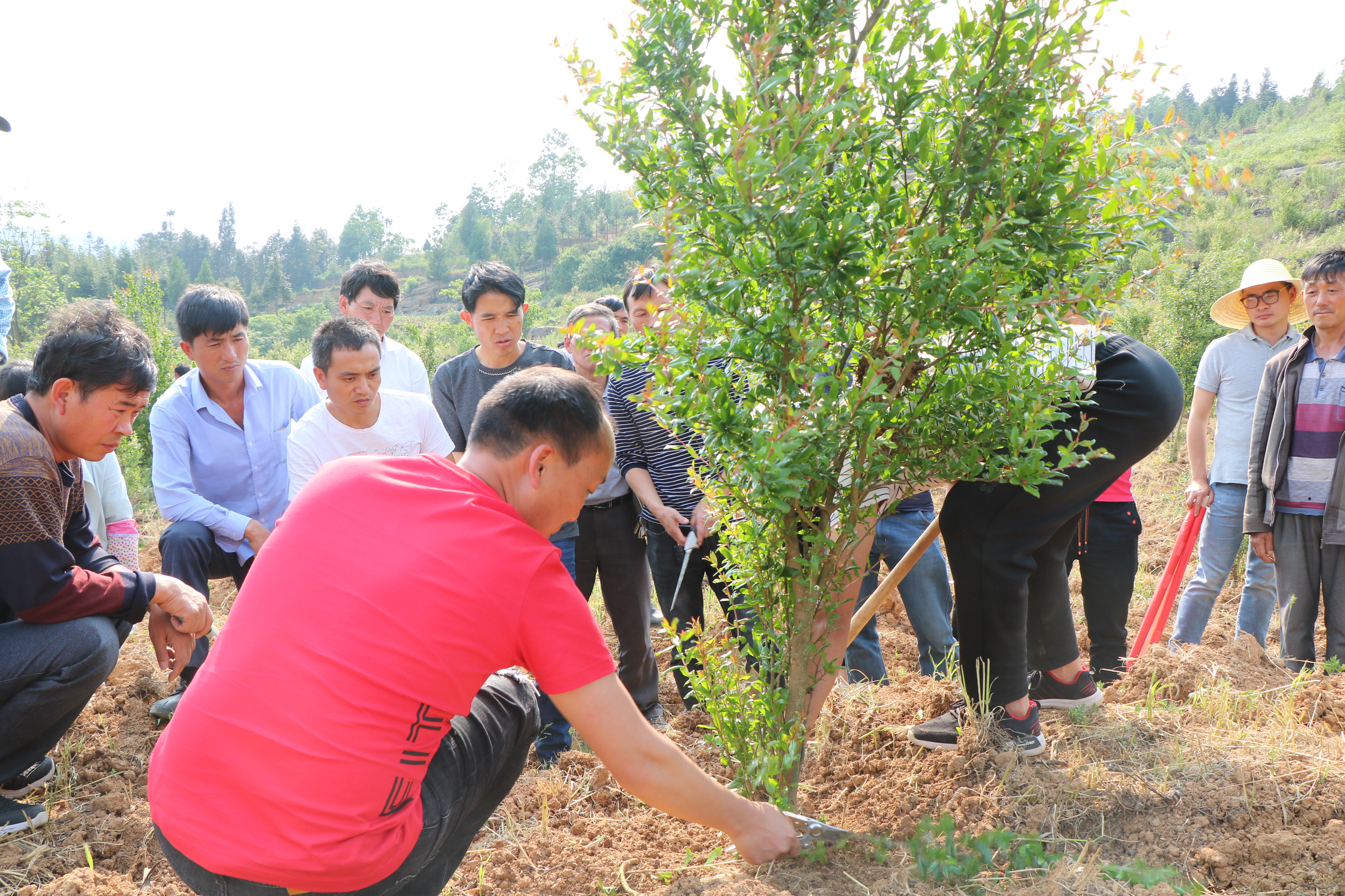 盘州企业数字化转型,盘州市产业
