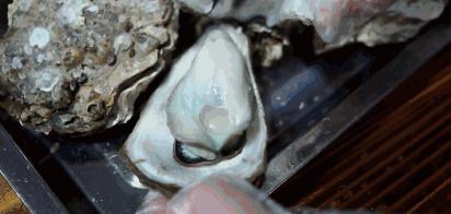 湛江美食生蚝推荐,湛江夜宵美食推荐生蚝