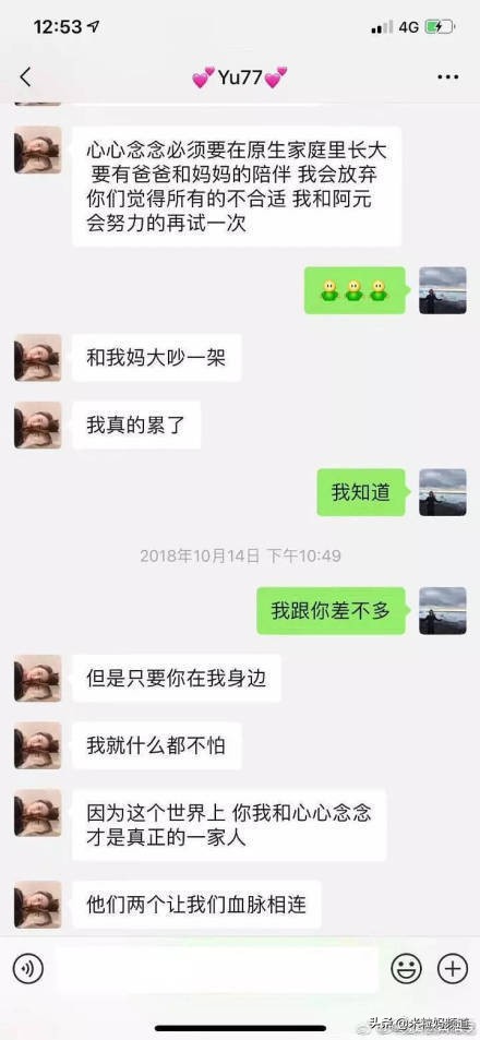 张雨绮真实生活,张雨绮的魅力来自哪里