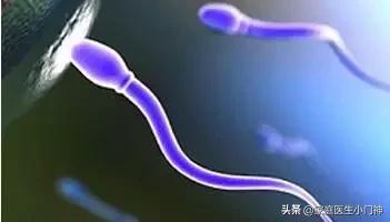 怎样受孕胎儿最健康,怎样受孕才能生出健康聪明的宝宝