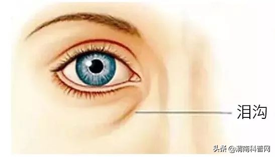 祛除眼袋的小妙招红霉素软膏,用什么可以祛除黑眼圈和眼袋