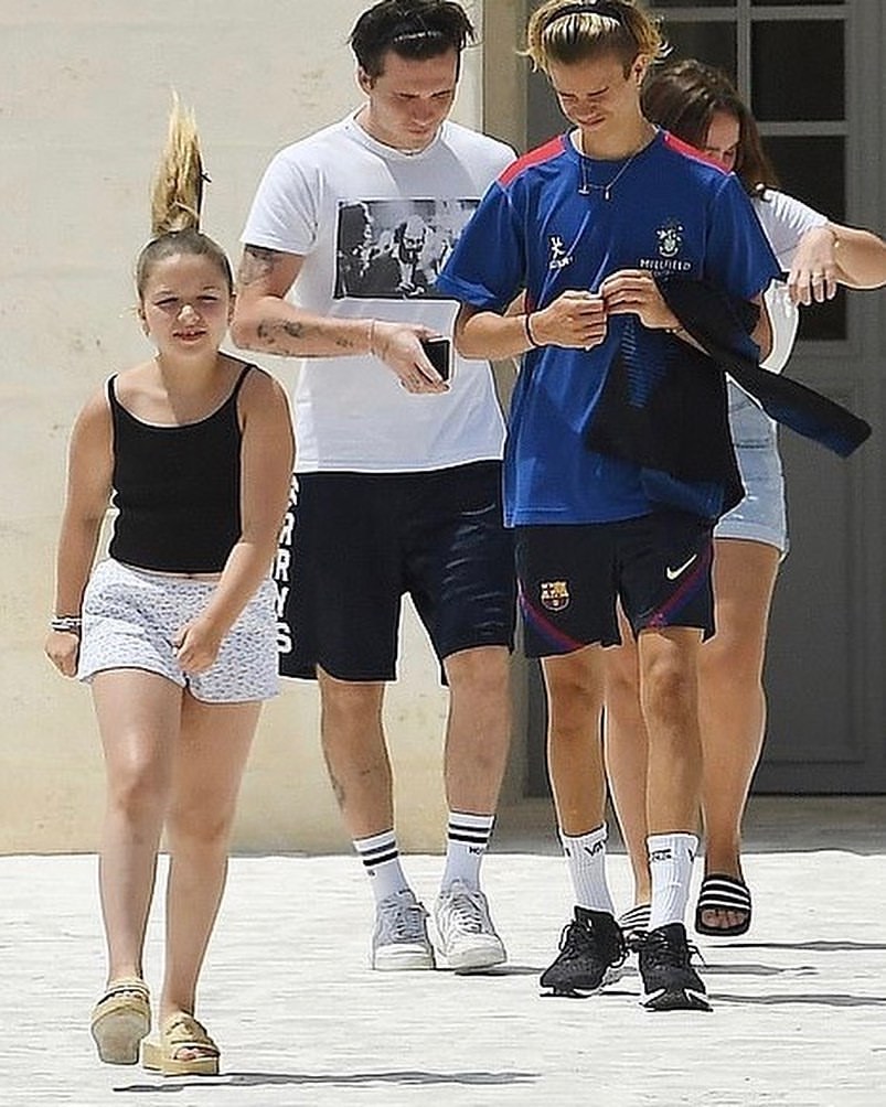 小七变胖了,小七胖成啥样了