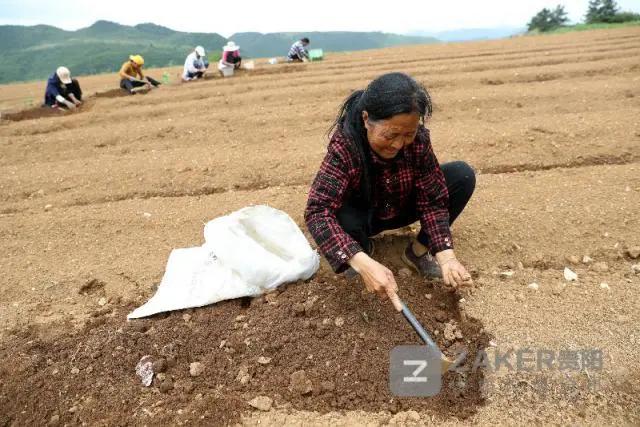 贵州决战脱贫攻坚走进万山,贵州脱贫攻坚视频