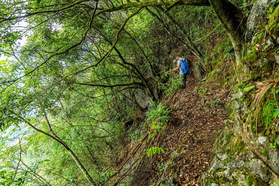 徒步穿越秦岭无人区,徒步穿越喀斯特森林