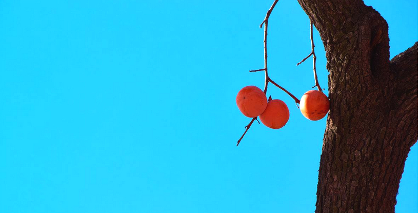 品牌seo推广哪个品牌好,品牌推广活动方案seo教程怎么写