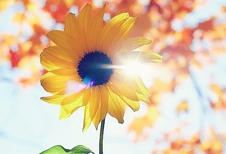 beside和but区别,beside和besides有什么区别啊