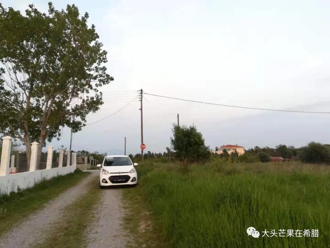 希腊买车需要多少钱,希腊买车攻略