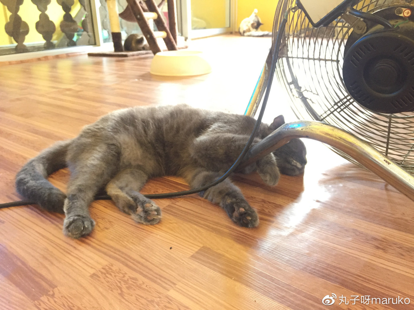 马来西亚槟城三天自助游求攻略,11月末马来西亚槟城旅游攻略