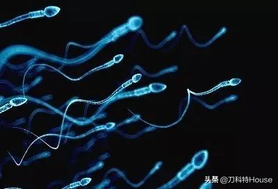 幽门螺杆菌会导致不孕吗,感染幽门螺杆菌的几率有多大