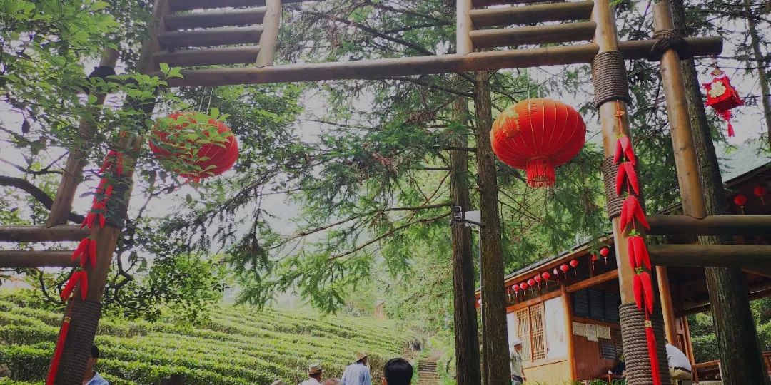 贺州姑婆山景区国家森林公园,贺州姑婆山森林公园路线