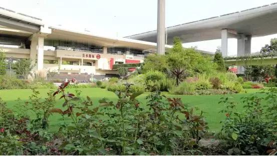 浣宠兘powershotg5xmarkii缂虹偣,浣宠兘powershotg5xmarkiii