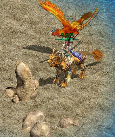 我的*途征**坐骑晋升之路