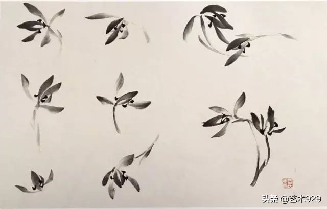 国画兰花的画法太棒了简单易学,泰国兰花绘画技法