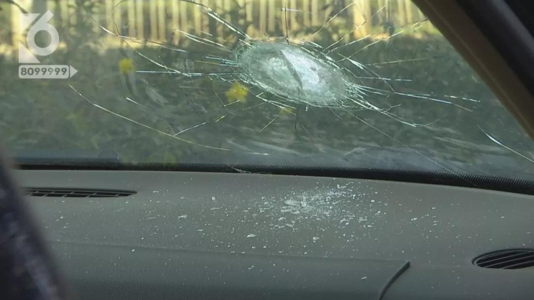 “一个火一样的东西落下来”，张女士的“*萨特帕**”被炸通了