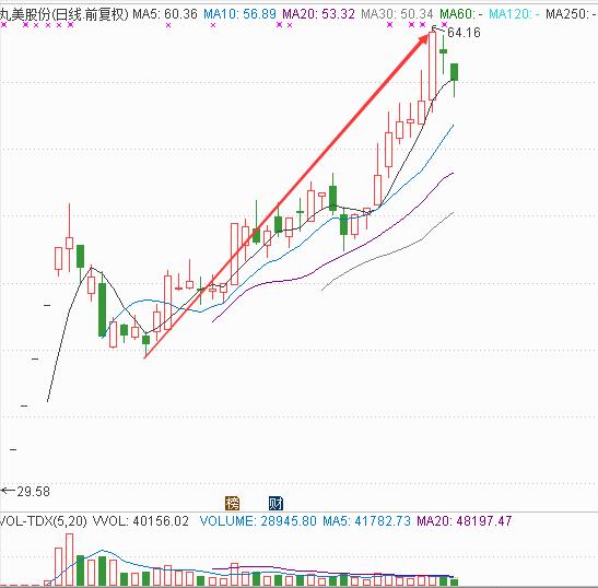 丸美集团市值,丸美股份市值
