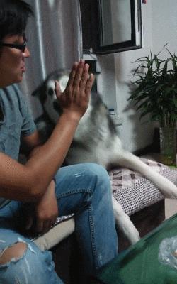 搞笑gif开心一刻原来高手在民间,搞笑gif你大爷果然还是你大爷