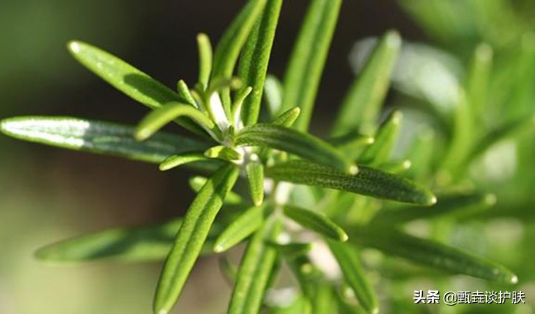 碳酸面膜真的好用吗,碳酸面膜是智商税吗