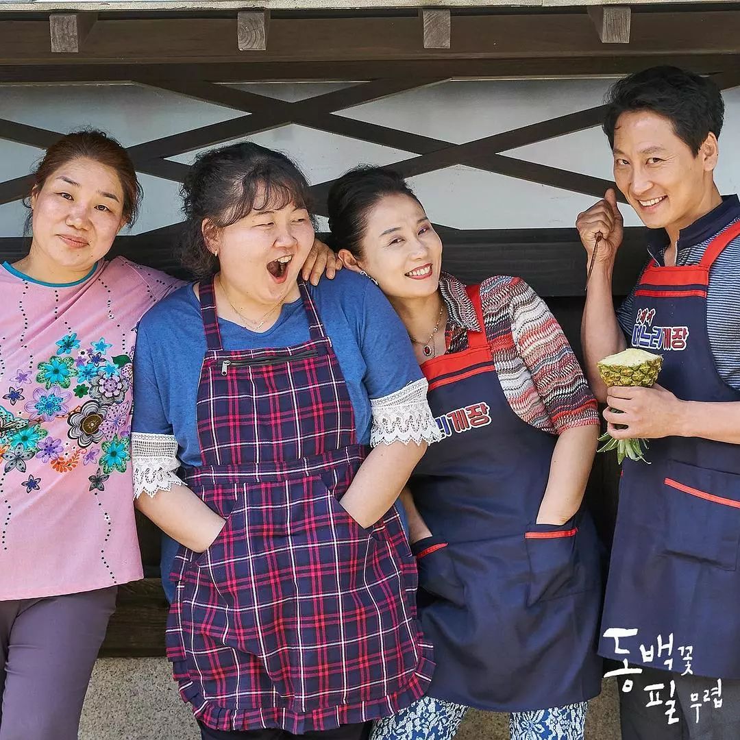 秋季档15部新剧重新梳理：真心话剧评，这8部值得追