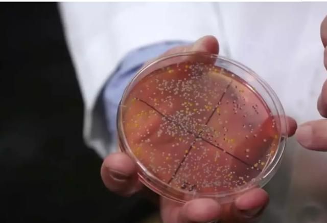 什么牌子的化妆品比马桶脏,专柜买的化妆品有质量问题能退吗