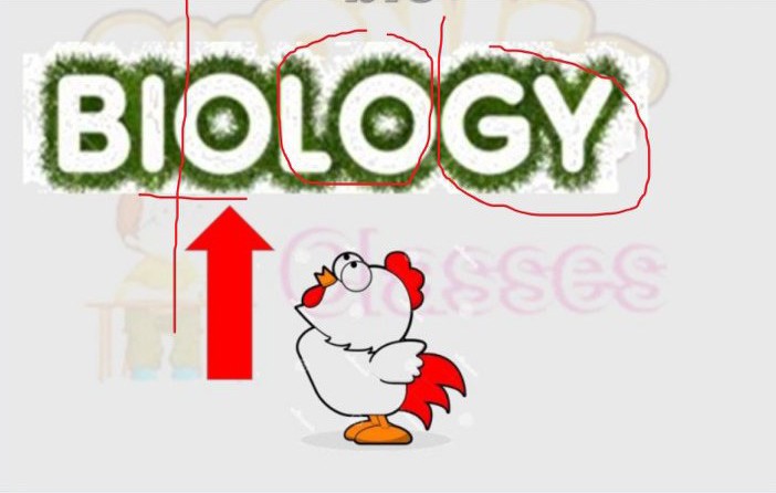 自然拼读开音节和闭音节,闭音节的拼读规则