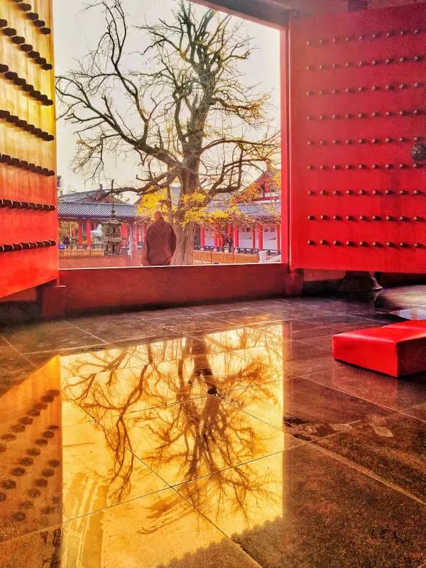 为啥用手机照相不好看,为什么手机拍照照片越来越不清晰