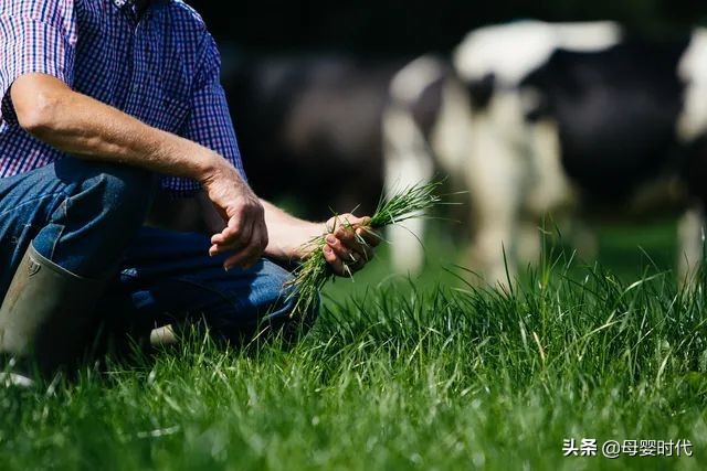 婴配粉销量,中国婴配粉市场现状