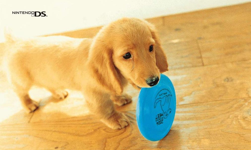 影子杂说：逗猫遛狗之际，还记得曾经藏在兜里的电子宠物吗？